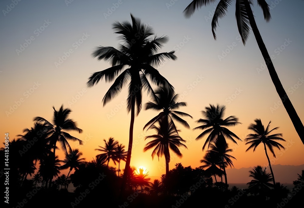 Silhouettes of palm and coconut trees at sunset, tropical scene, coconut tree, beach Silhouettes of palm and coconut trees at sunset, tropical scene, coconut tree, beach