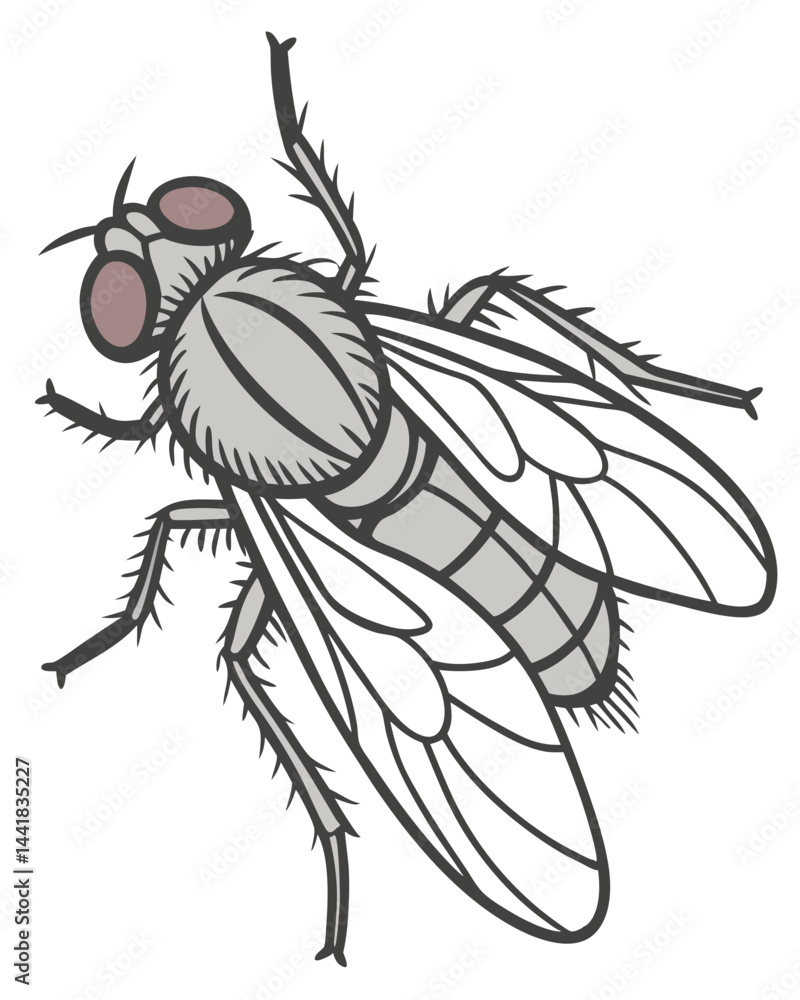 Obraz premium vector fly isolated on white background