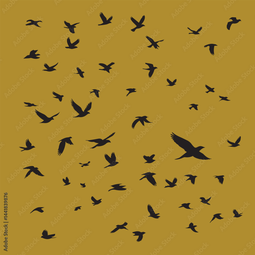 Fototapeta premium The Meaning Behind birds Songs