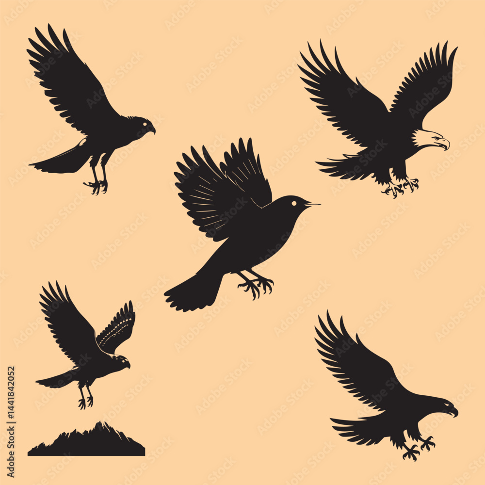 Fototapeta premium silhouettes of birds