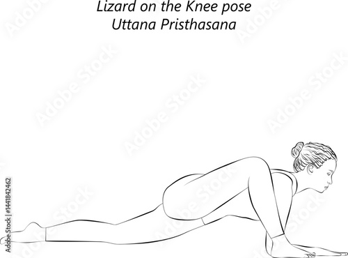 Sketch of young woman practicing Uttana Pristhasana yoga pose. Lizard on the Knee yoga pose. Intermediate Difficulty. Isolated vector illustration.