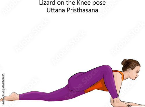 Young woman practicing Uttana Pristhasana yoga pose. Lizard on the Knee yoga pose. Intermediate Difficulty. Isolated vector illustration.