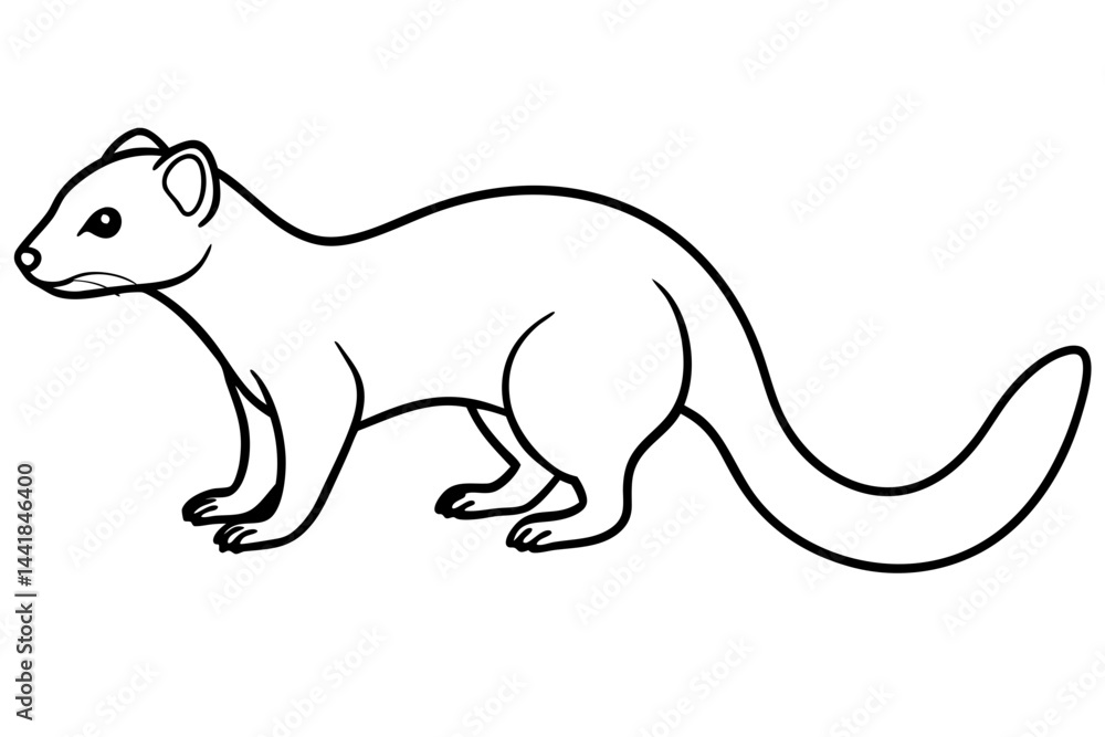 Obraz premium Elegant Mongoose Vector Sketch