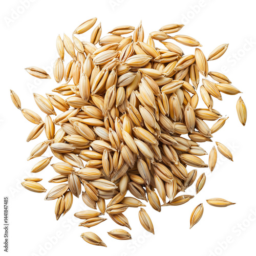 A close-up view of a pile of light brown, oval-shaped Barley seeds showcasing their texture and natural color. isolated on white background and transparent background