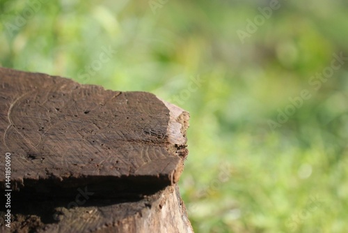 Wallpaper Mural a wet wooden table with blurred background. for product presentation



 Torontodigital.ca