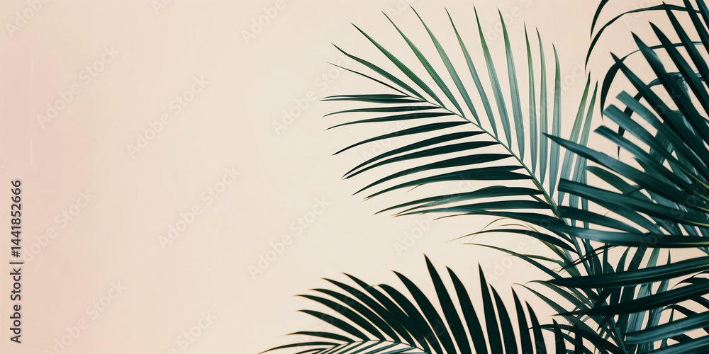 Dark green palm frond silhouettes framed by a soft pastel backdrop and generous negative space