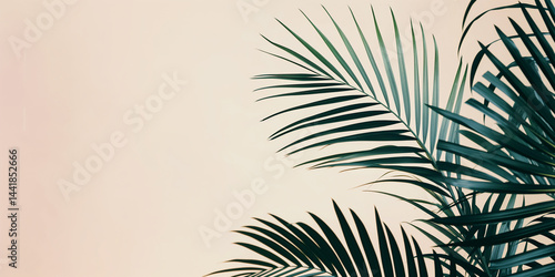 Obraz na płótnie Dark green palm frond silhouettes framed by a soft pastel backdrop and generous negative space w salonie