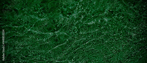 Obraz na płótnie Dark green water w salonie
