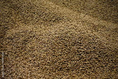 Whisky Distillery Machines – Crafting Scotch on Islay, Scotland