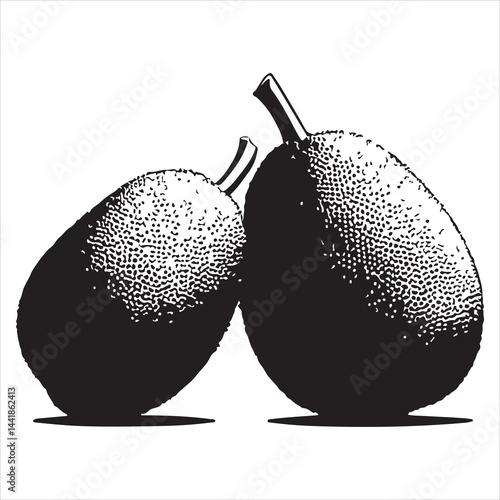 a fresh jack fruit, fruit vector silhouette, vector black color silhouette, isolated white background
