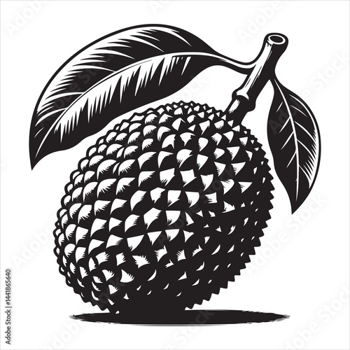 a fresh jack fruit, fruit vector silhouette, vector black color silhouette, isolated white background