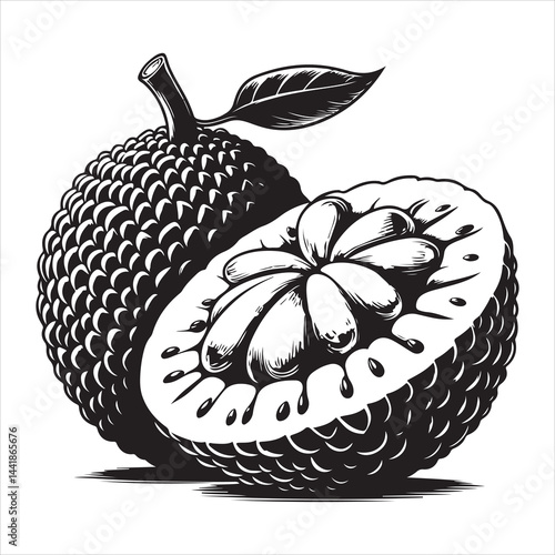 a fresh jack fruit, fruit vector silhouette, vector black color silhouette, isolated white background