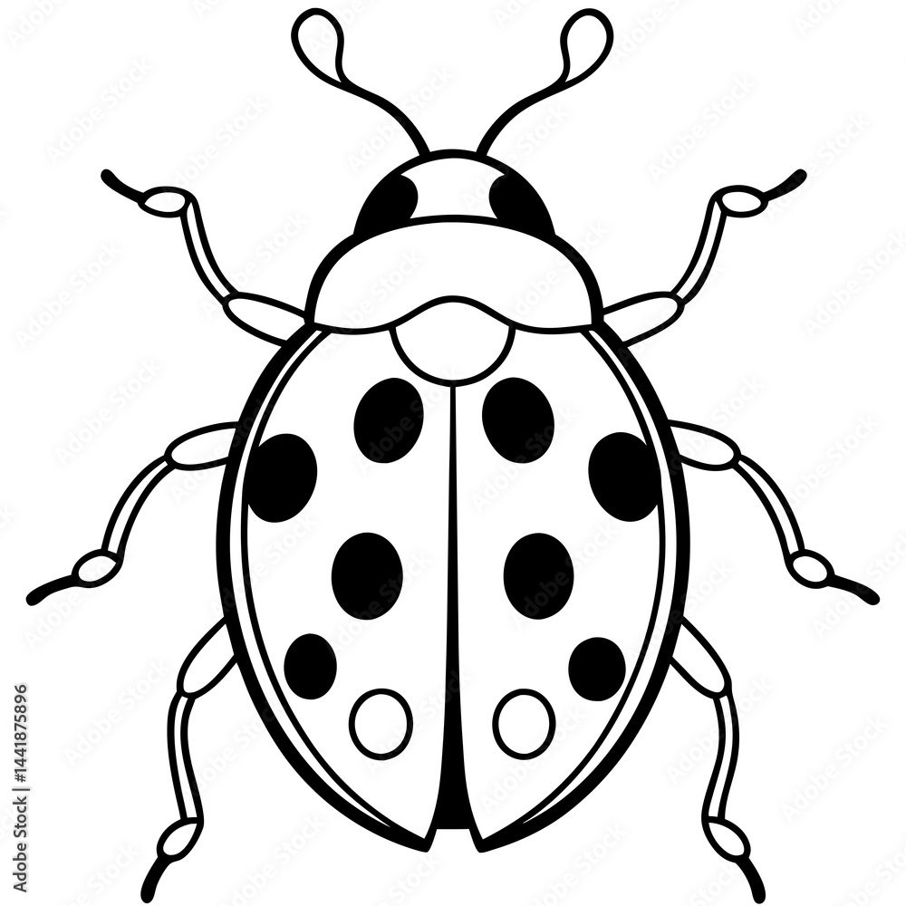 Simple Ladybug Line Drawing Vector Simple Ladybug Line Drawing Vector