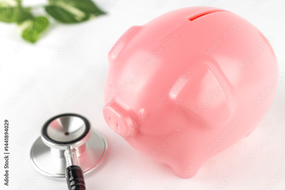 豚の貯金箱と聴診器。家計のイメージ