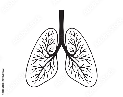 lungs icon doodle hand drawn. Outline lungs line drawing clipart symbol