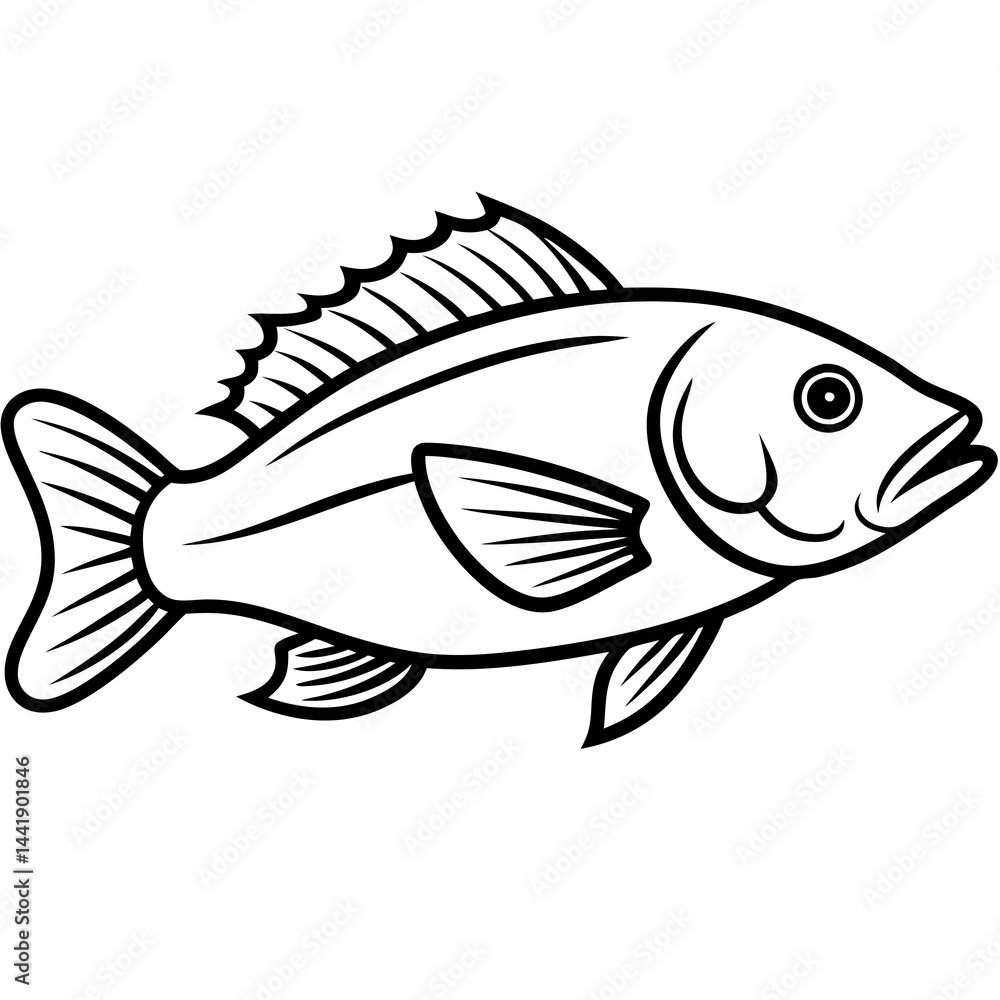 Obraz premium fish on a white background