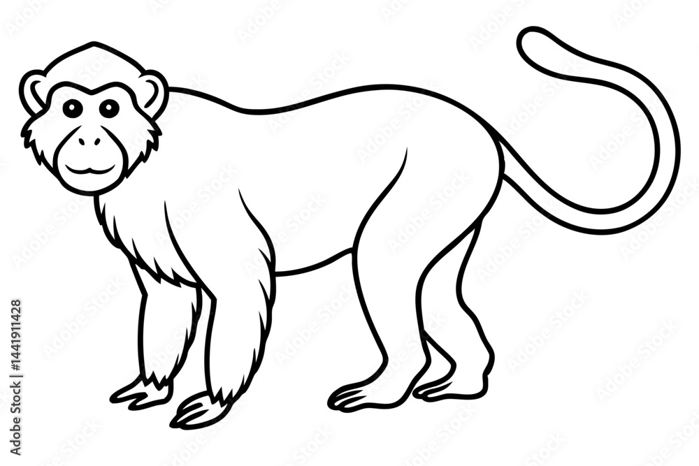 Fototapeta premium Elegant Proboscis Monkey Line Art