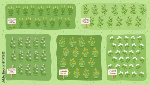 Sustainable and regenerative farming concept banner. Gardening nature background. Fields with different types of cover crops. Top view. Vector hand drawn flat template.