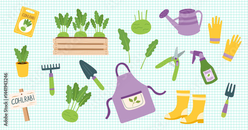 Kohlrabi cliparts isolated on checkered background. Gardening concept. Kohlrabi and equipment for planting vegetables. Vector hand drawn illustration.