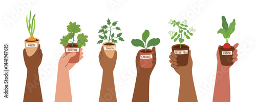Set of human hands holding small pots with vegetable seedlings isolated on white. Gardening and farming concept. Healthy food and home garden concept. Vector hand drawn template.