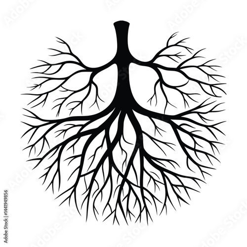 vein network under skin