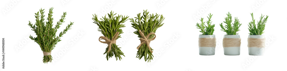 Fototapeta premium Collection of tied rosemary bundles and rosemary sprigs in small vases, isolated on a transparent background.