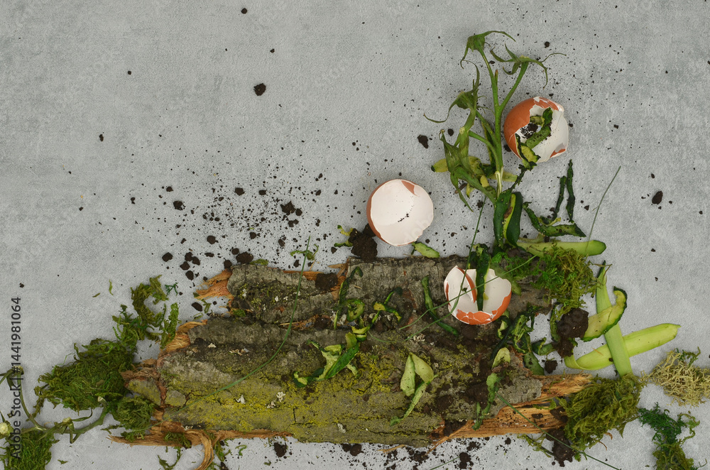 Food scraps, peelings, moss and other compost items arranged into an abstract mess. Top view eco texture on a grey background.
