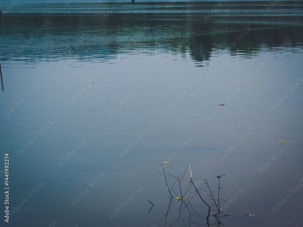 Fototapeta premium Water surface in a pond for water resources background