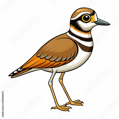 bird on a branch