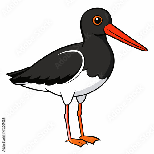 yellow billed stork