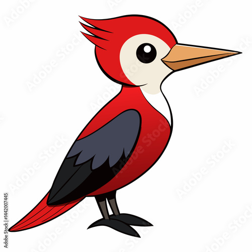 red billed toucan