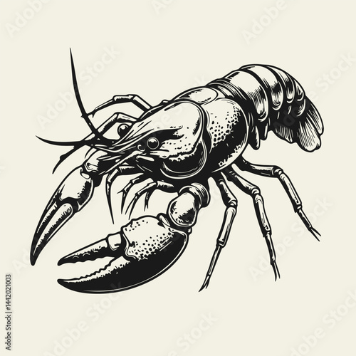River crayfish, arthropod animal, monochrome vector illustration isolated on white background