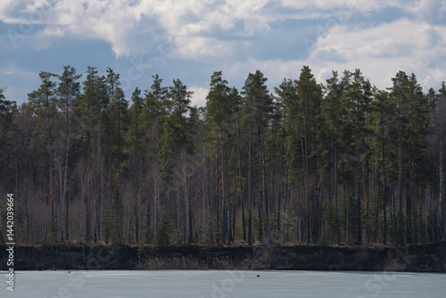 Obraz na płótnie a spring landscape with a frozen lake and a pine forest on the shore w salonie