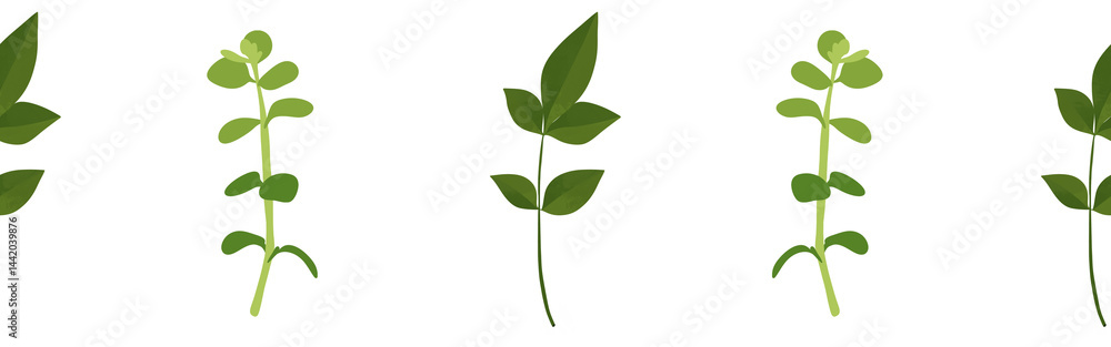 Leaves border on a white background. Hand-drawn illustration. Perfect for spring and summer. Leaves border on a white background. Hand-drawn illustration. Perfect for spring and summer.