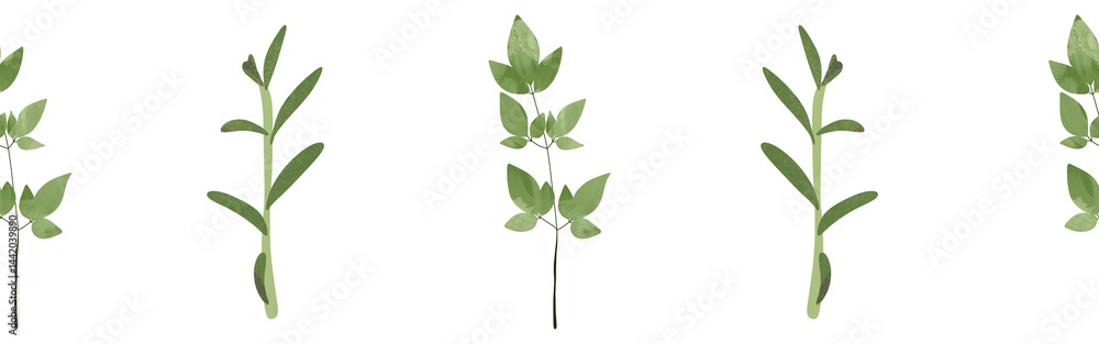 Leaves border on a white background. Hand-drawn illustration. Perfect for spring and summer. Leaves border on a white background. Hand-drawn illustration. Perfect for spring and summer.