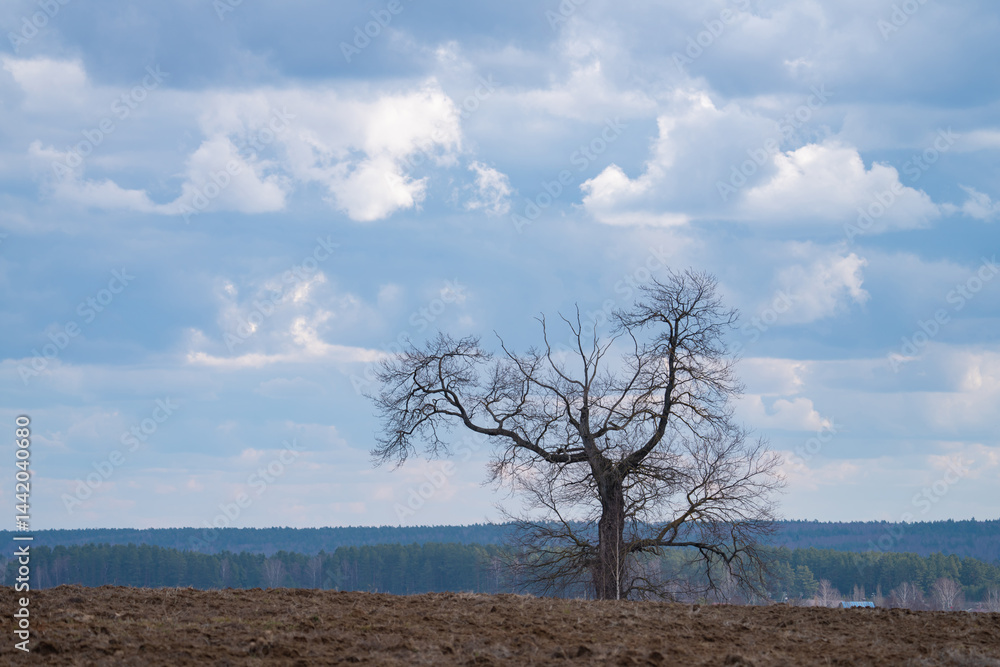 a plowed agricultural field , a spring landscape in the countryside