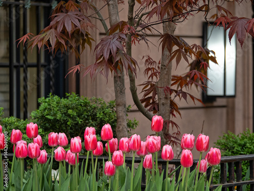 View of Upper East Side Manhattan, early spring