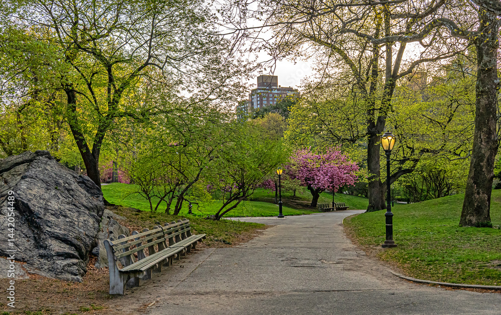 Central Park in spring