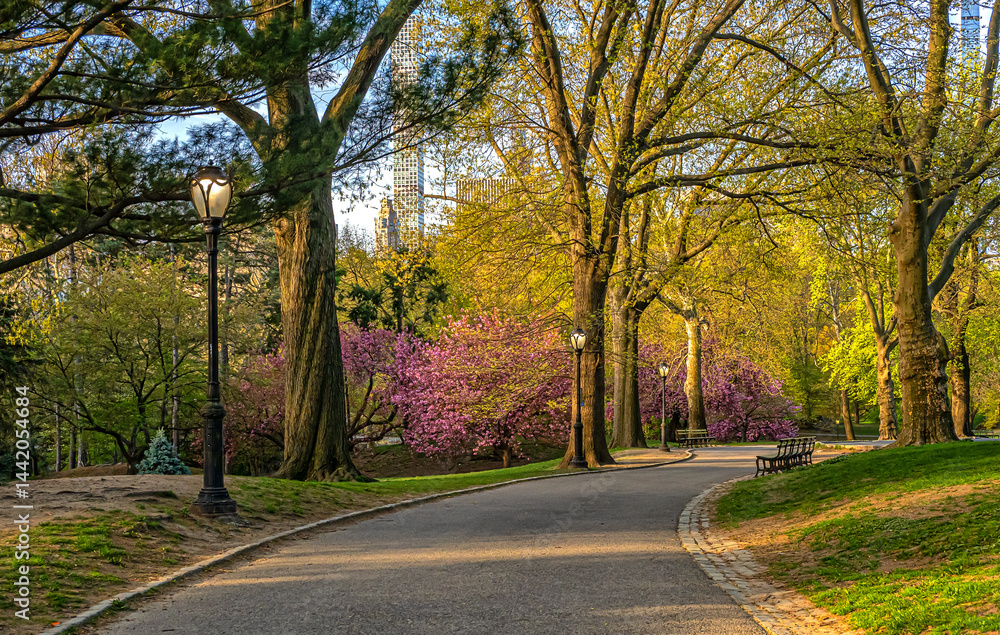 Central Park in spring