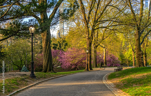 Obraz na płótnie Central Park in spring w salonie