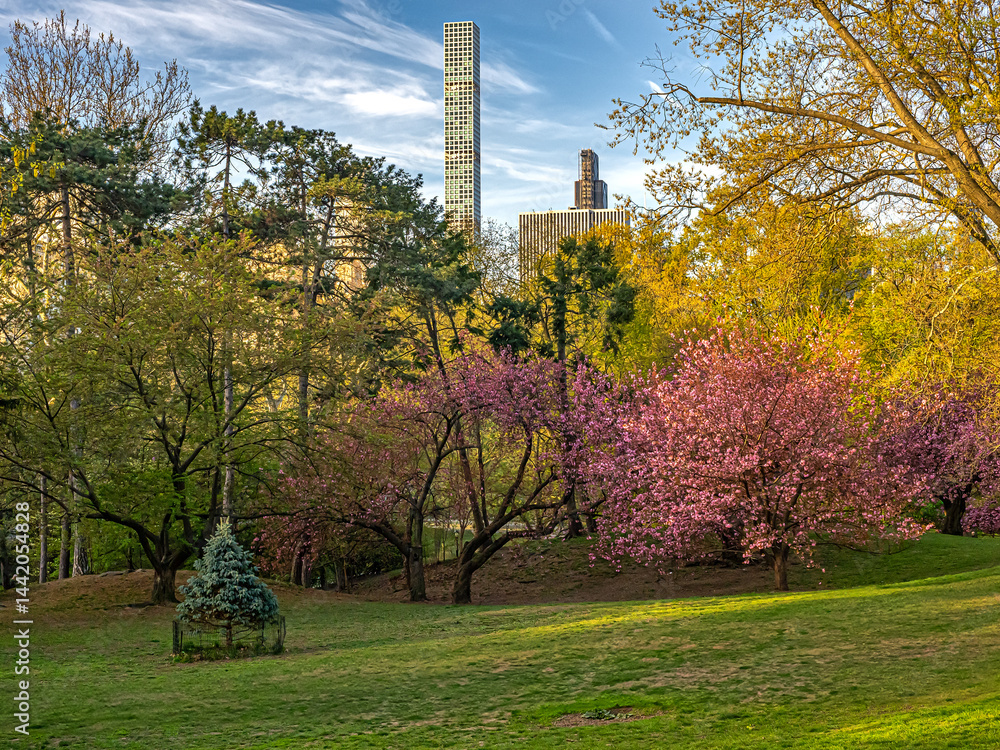 Central Park in spring