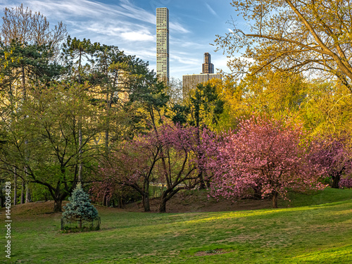 Obraz na płótnie Central Park in spring w salonie