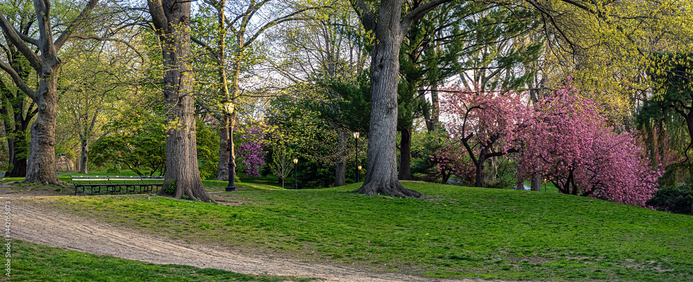 Central Park in spring