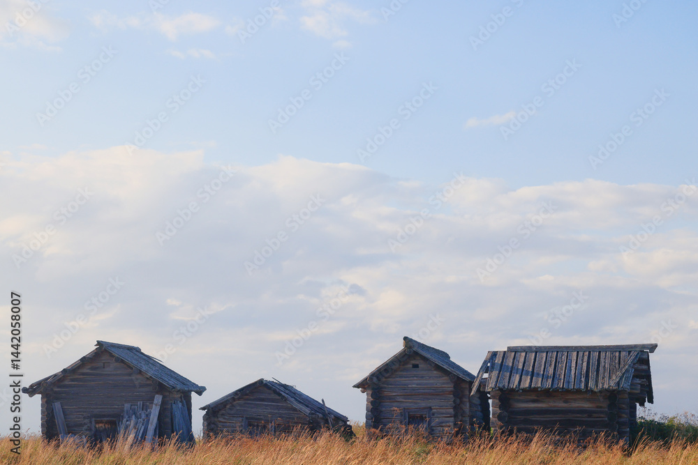 Obraz premium Russian village old wooden houses, Russian north view in Arkhangelsk region