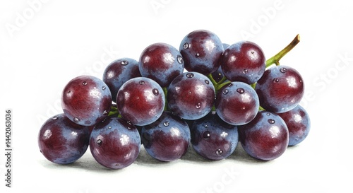 Fresh bunch of vibrant dark grapes with water droplets in detailed close up presents healthy fruit