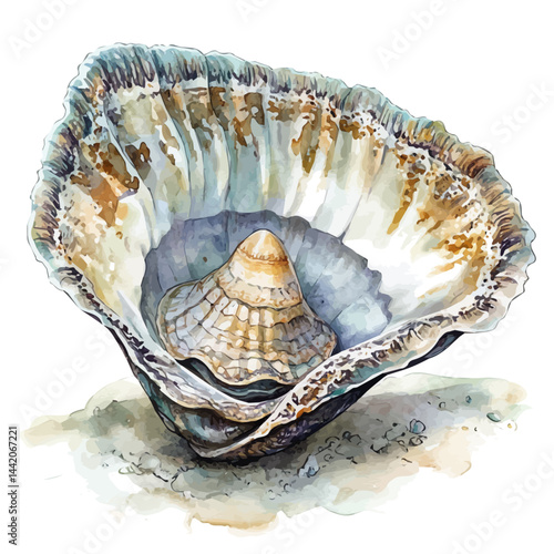 giant clam opening in the ocean floor, watercolor drawing, isolated on a white background. giant clam opening in the ocean floor vector.