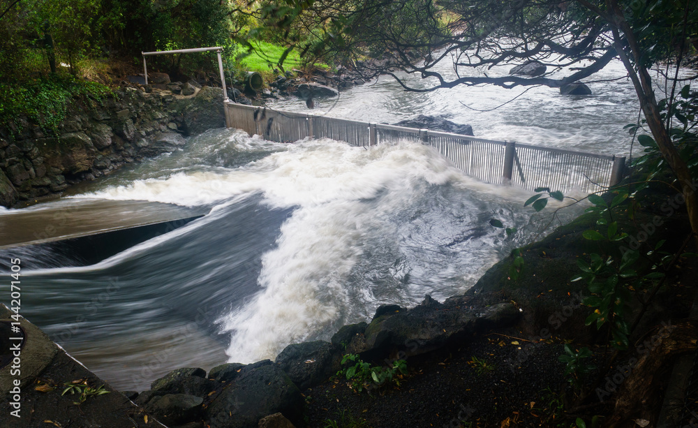 Stormwater gushing down the Wairua stream in the rain and mist. Heavy rain in Auckland.