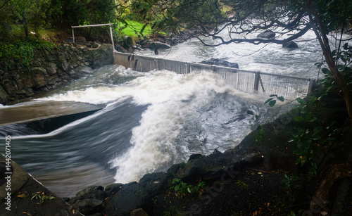 Obraz na płótnie Stormwater gushing down the Wairua stream in the rain and mist. Heavy rain in Auckland. w salonie