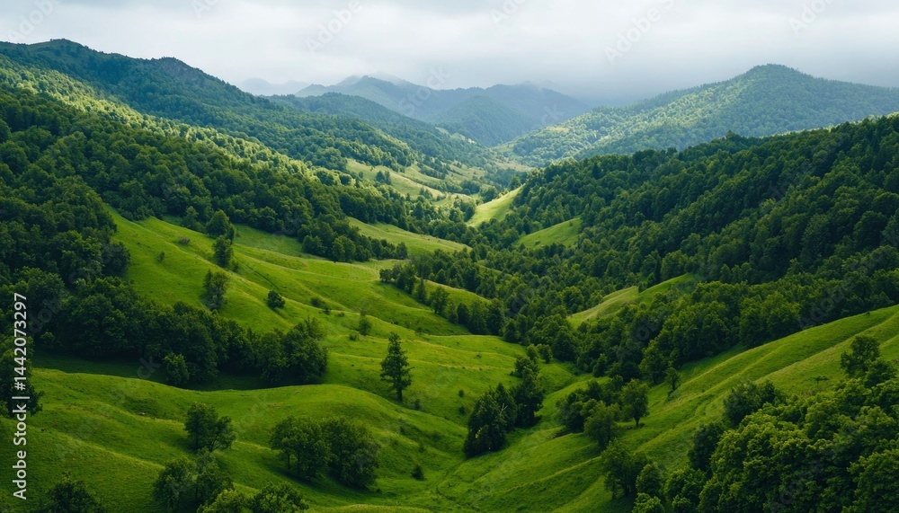 Fototapeta premium Lush valley in the mountains