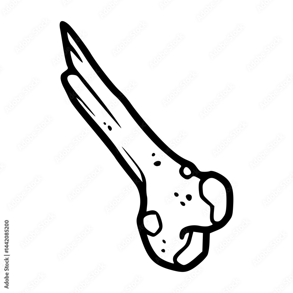 grunge skeleton bone outline drawing grunge skeleton bone outline drawing